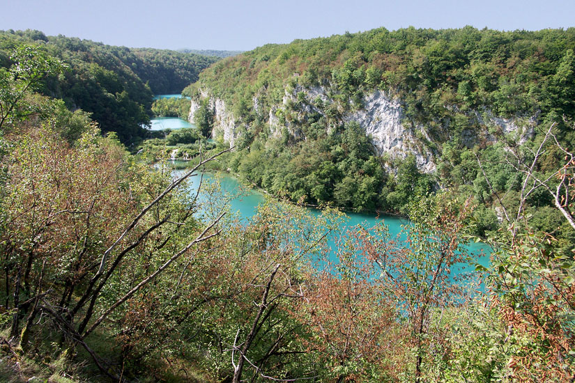 Obraz 009